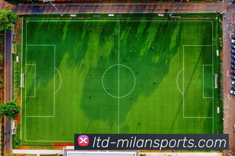 App Interface Preview